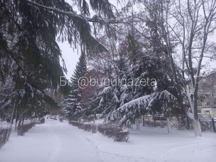 Погода в Бугульме 19 декабря