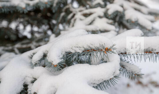 1 января в Татарстане потеплеет до 0 градусов