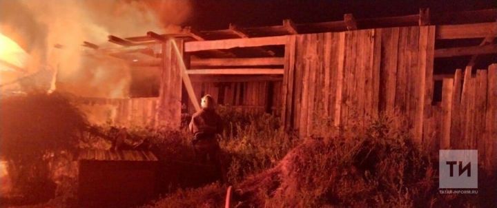 В Татарстане на пожаре погибли семь коров