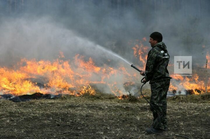В Бугульме продолжается противопожарный режим в лесах