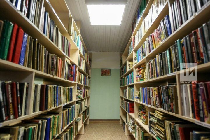 В Бугульминском районе откроется модельная библиотека в сельском Доме культуры