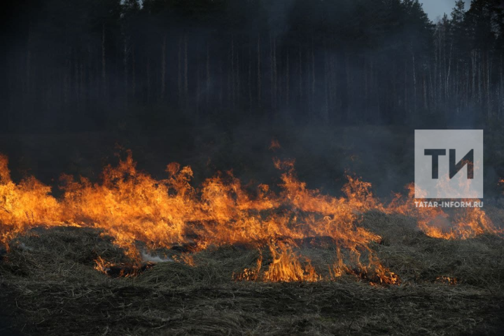 Штормовое предупреждение объявлено в Татарстане из-за высокой опасности лесных пожаров