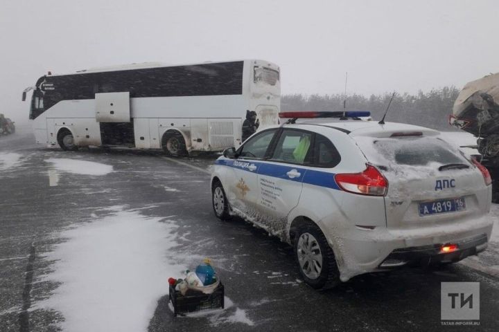 В Бугульминском районе Татарстана водитель высадил пассажиров на трассе