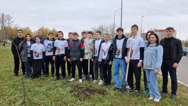 В Бугульме активисты высадили почти 3 000 саженцев деревьев