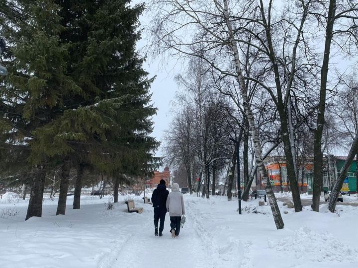 В Бугульме 14 февраля преимущественно пасмурно