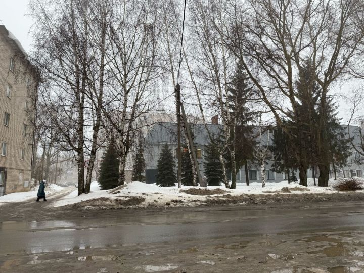 В Бугульме 16 марта снежная и пасмурная погода