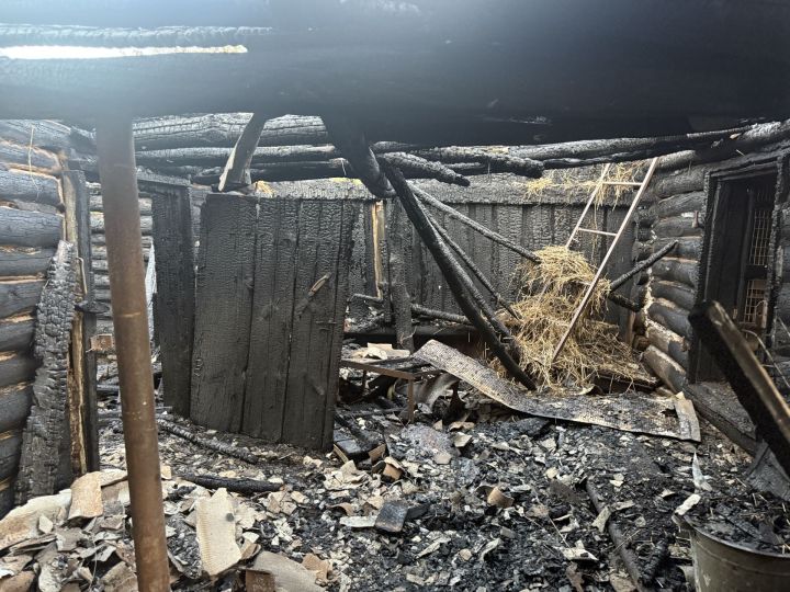 В Бугульминском районе загорелись дом, сарай и баня