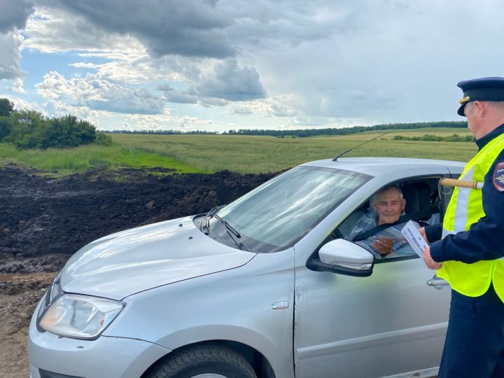 В Бугульминском районе сотрудники Госавтоинспекции провели профилактическое мероприятие