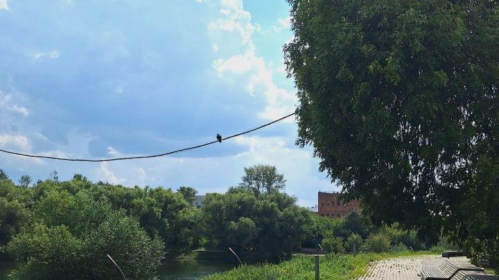Погода в Бугульме 8 августа
