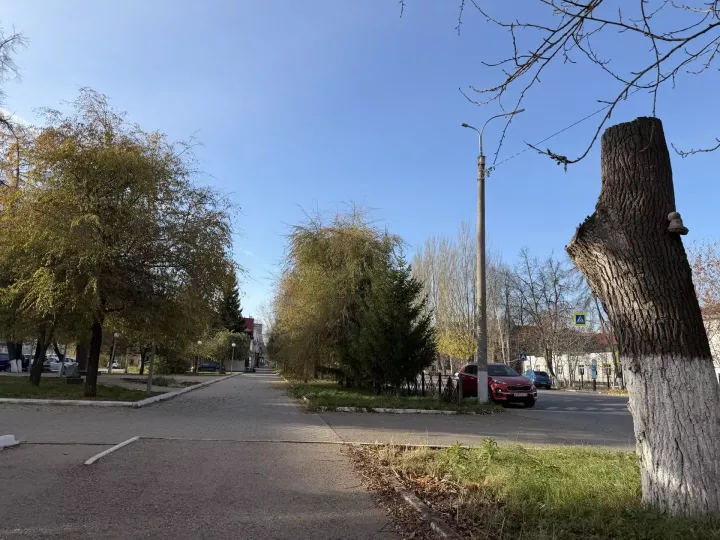 12 градусов тепла ожидается в Бугульме 27 октября