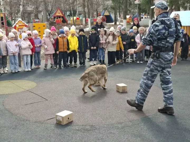Кинолог и служебная собака научили бугульминских дошкольников безопасному поведению при встрече с бродячими животными