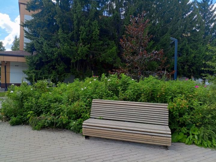 В Бугульме 30 июля переменная облачность