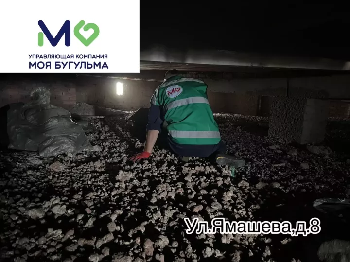 В Бугульме УК очищает чердак дома на улице Ямашева от последствий жизнедеятельности голубей