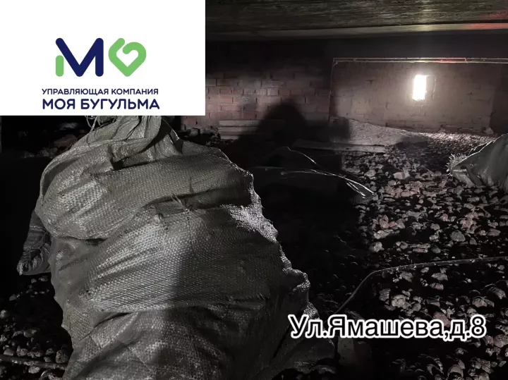 В Бугульме УК очищает чердак дома на улице Ямашева от последствий жизнедеятельности голубей