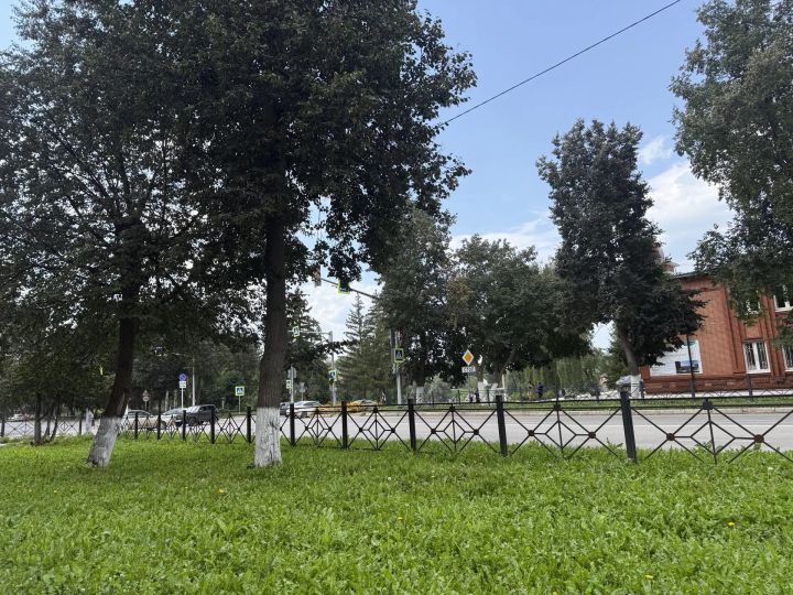 Облачно с прояснениями будет в Бугульме 23 августа