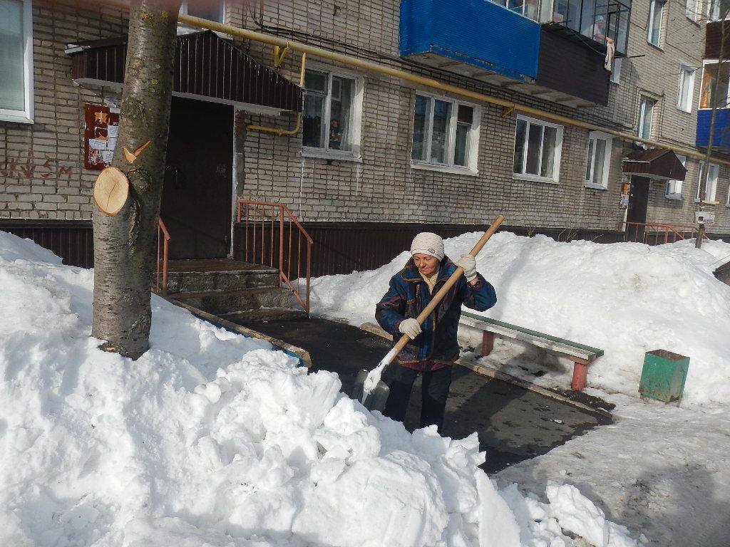 Доброе утро, дворник!