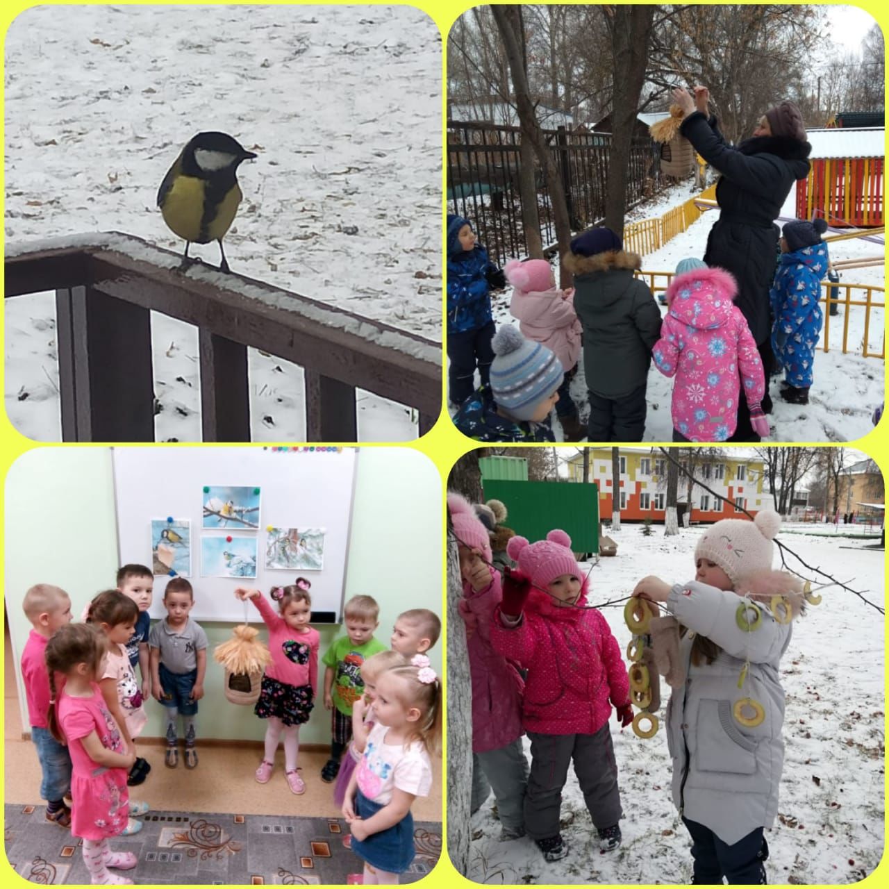Ребята из детского сада «Искорка» познакомились с птицами, которые остаются зимовать