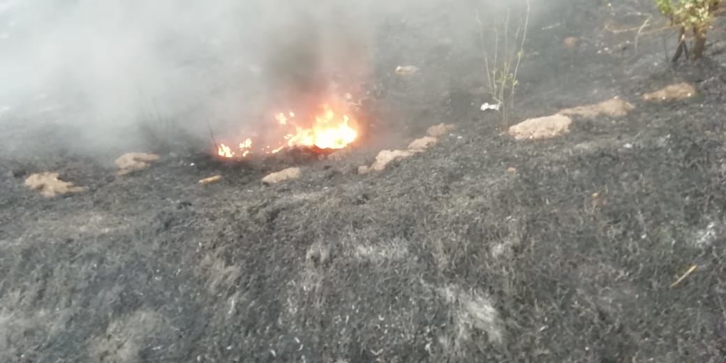 В Бугульминском районе загорелась сухая трава (ФОТОРЕПОРТАЖ)