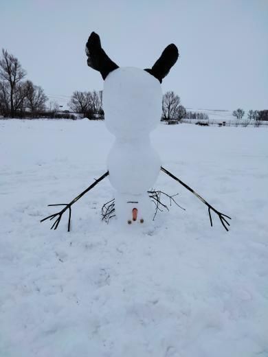 Бугульминцы отметили День рождения Снеговика