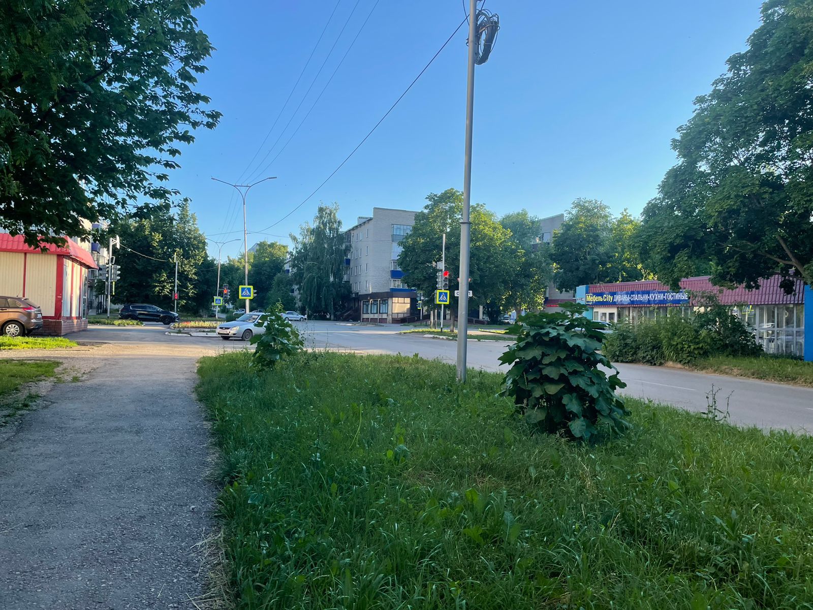 Погода бугульма по часам. Бугульма климат. Погода в Бугульме. Погода в Бугульме на сегодня. Солнечная погода в Бугульме фото.