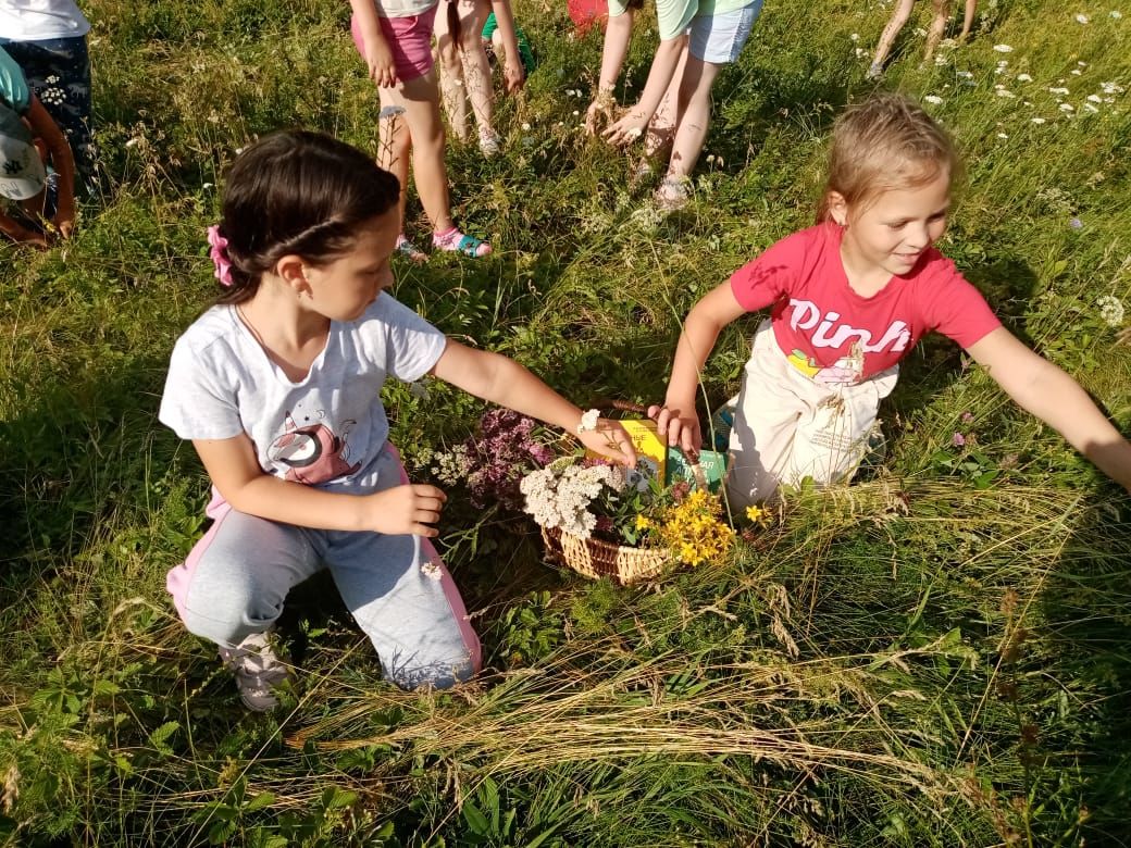 В Бугульминском районе дети сходили на экскурсию в лес