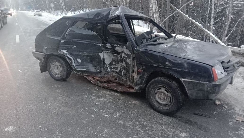 Лихач на «ВАЗе» сбил лося и влетел в «Ладу» под Елабугой