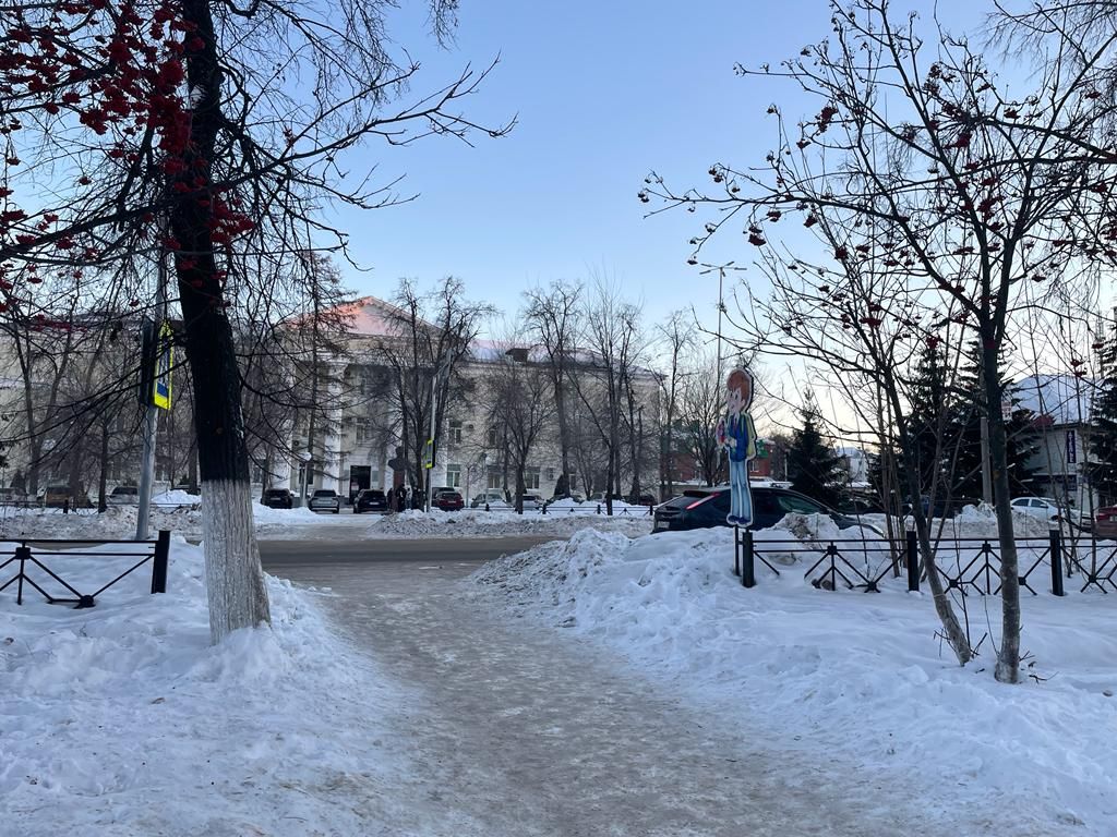 В Бугульме 24 января будет облачно с прояснениями