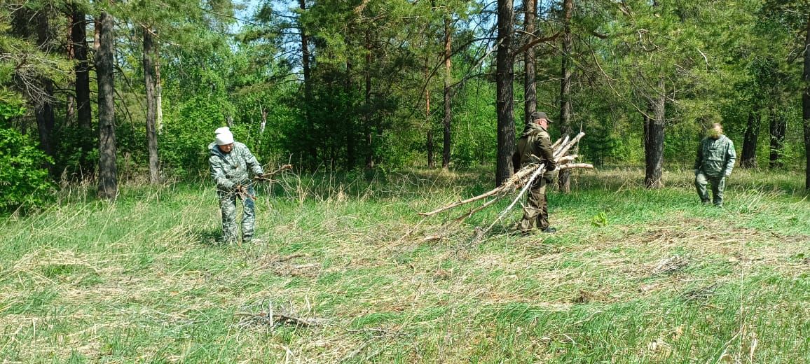 В Бугульме прошла акция «Чистые леса Татарстана»