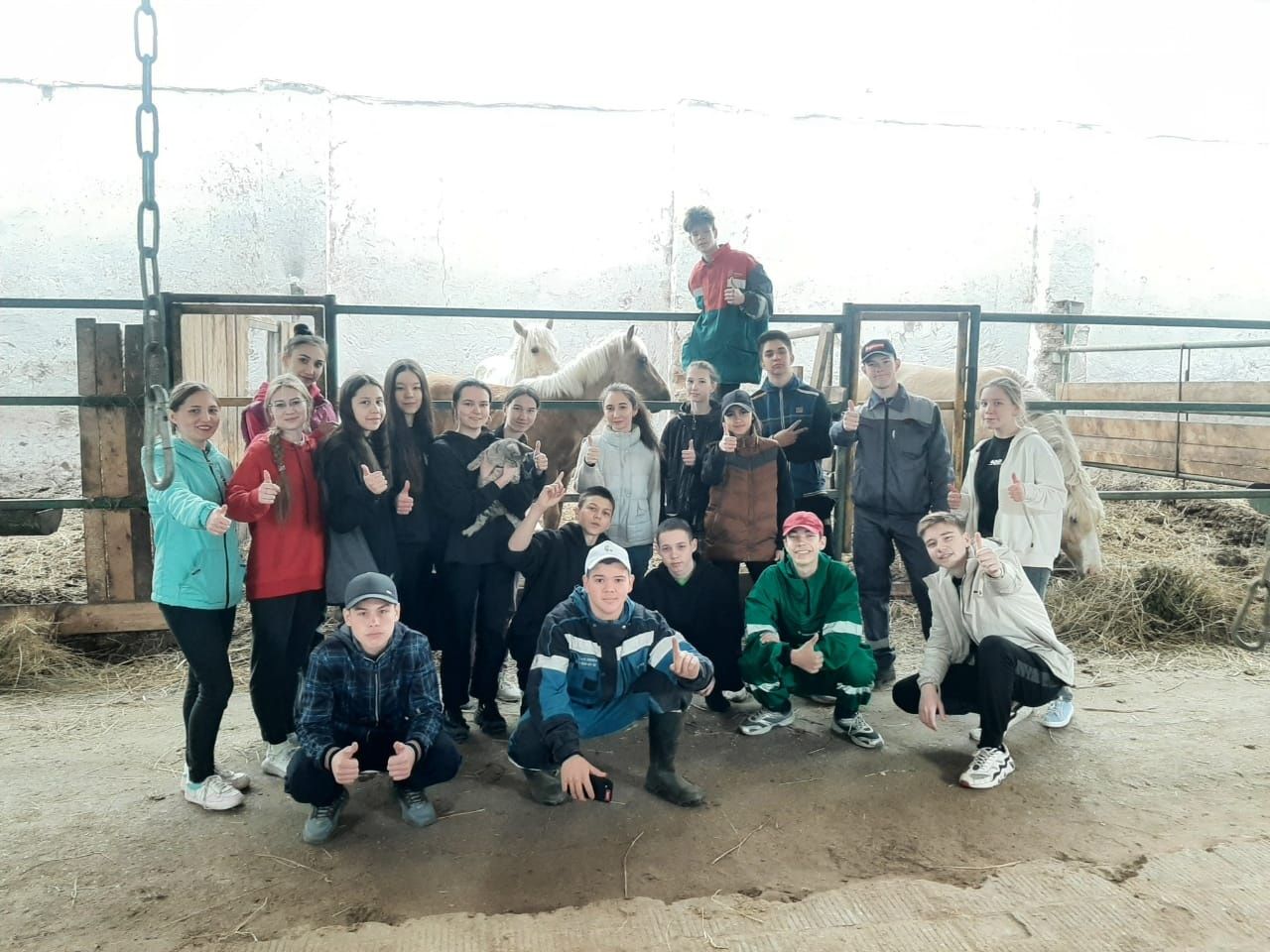 Волонтерский отряд из Бугульминского района посетил конный дворик