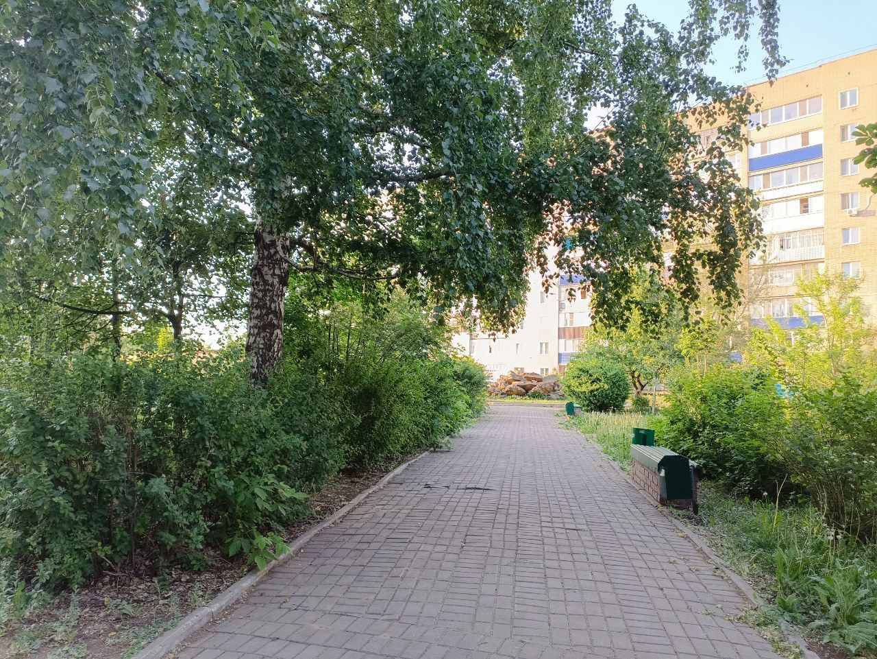 Синоптики обещают в Бугульме грозу