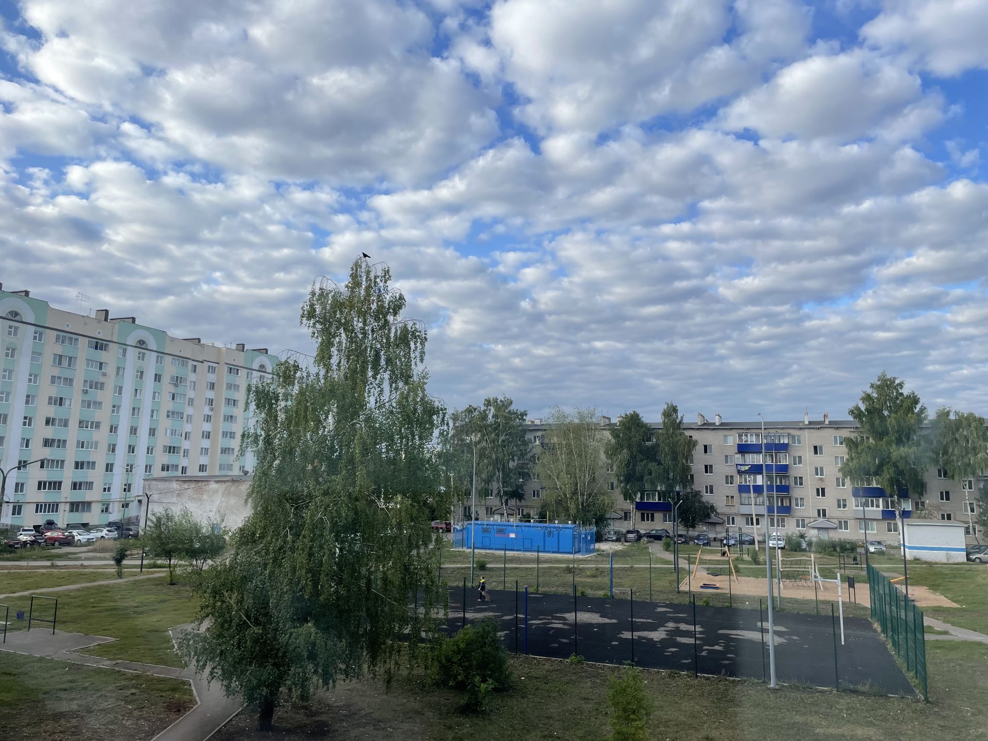 Ночью в Бугульме ожидаются заморозки