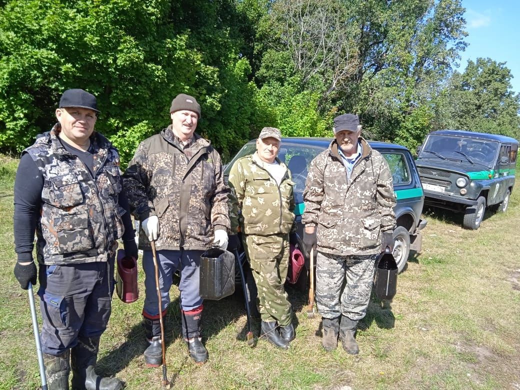 Бугульминские леса защищают от опасных насекомых