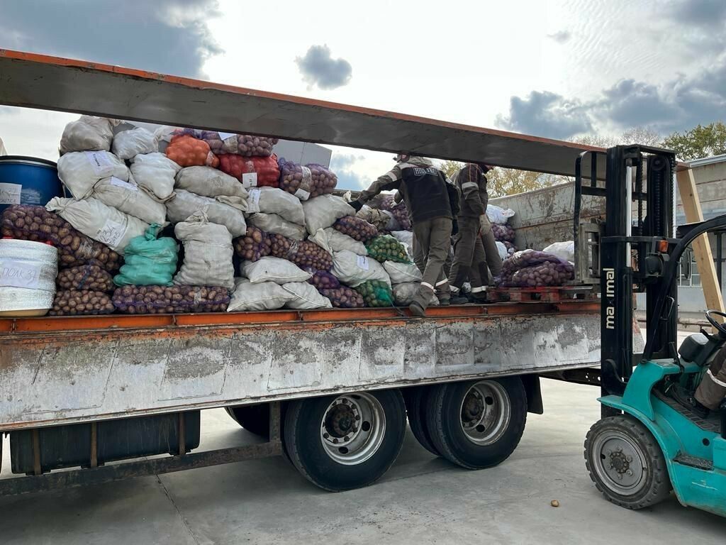Бугульминцы на СВО отправили более 8 тонн овощей