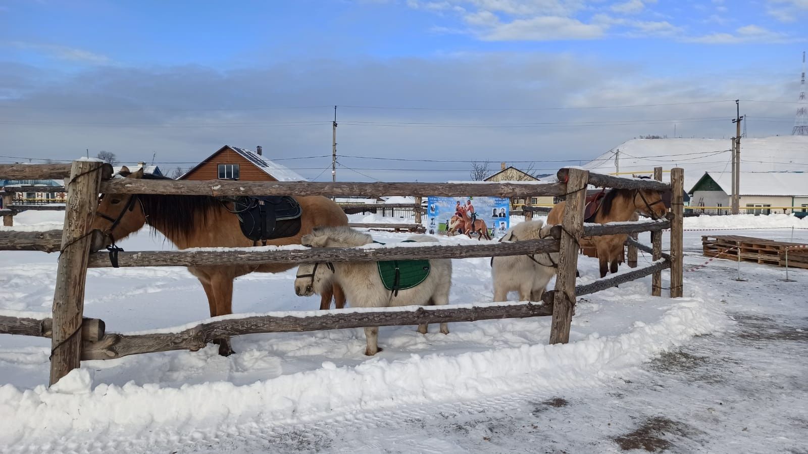 Турнир по борьбе на лошадях «Аударыш» прошел в поселке Карабаш Бугульминского района