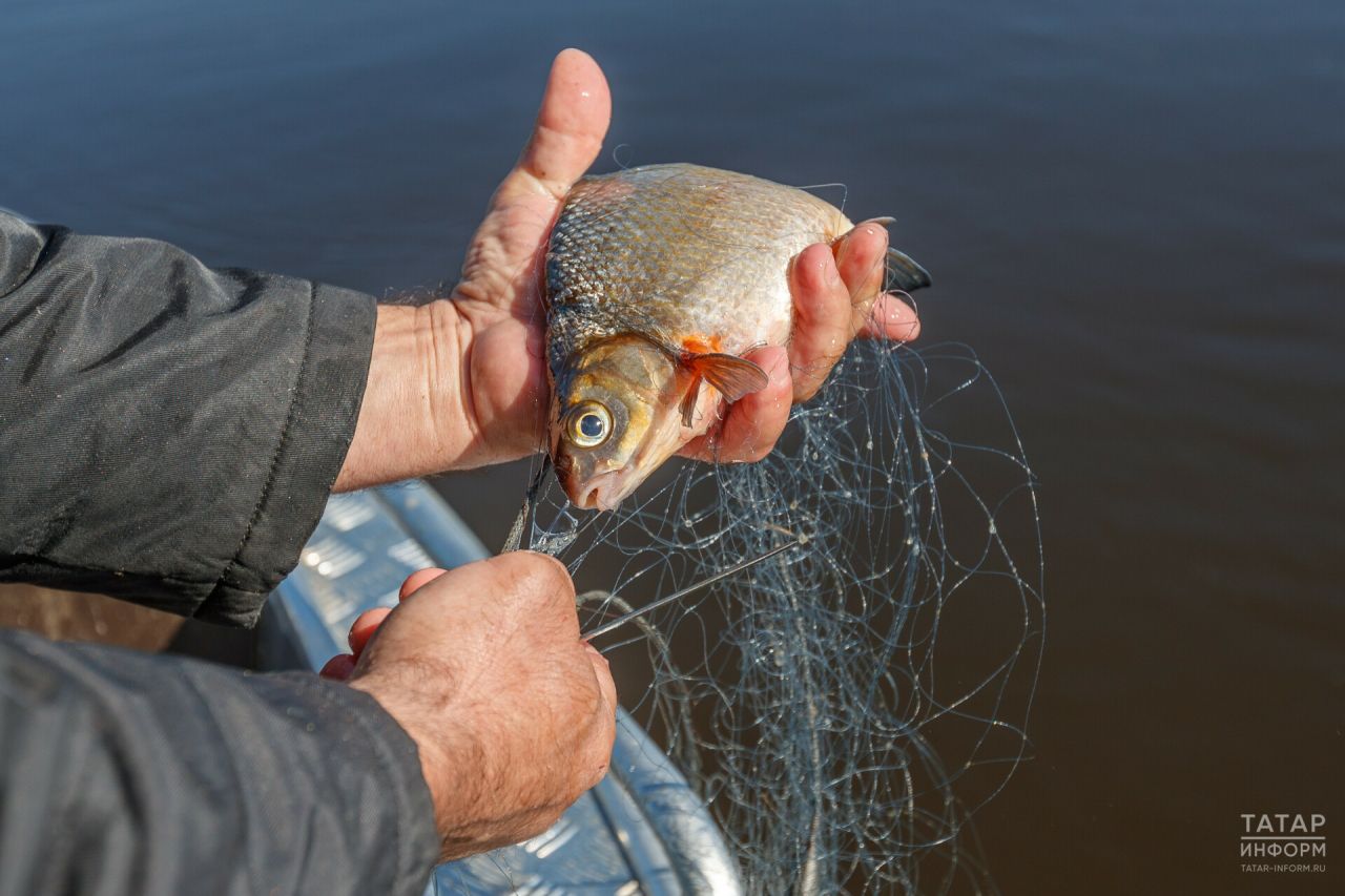 В Бугульминском районе ограничили ловлю рыбы