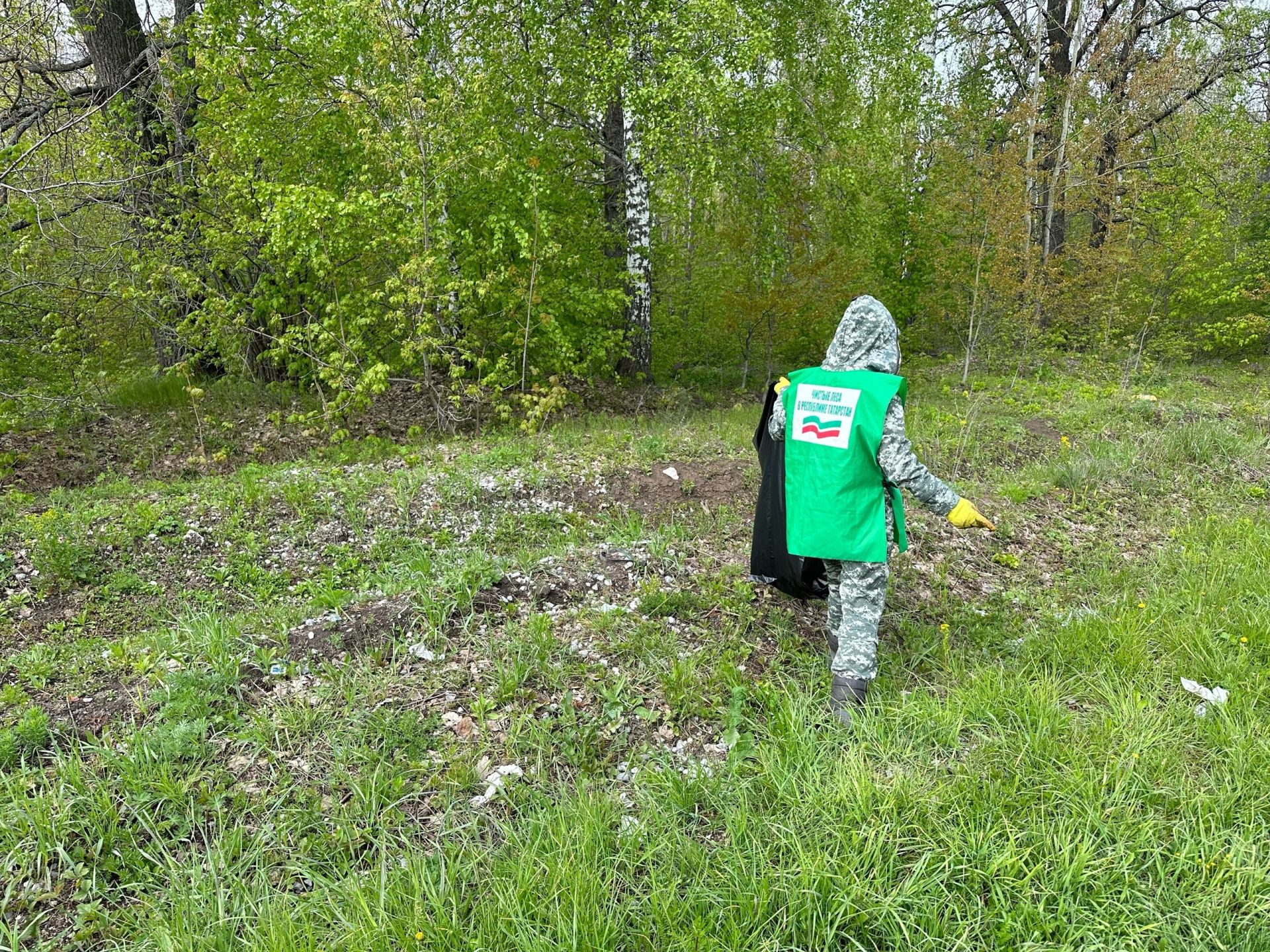 Массовая уборка лесного фонда прошла в Бугульминском районе