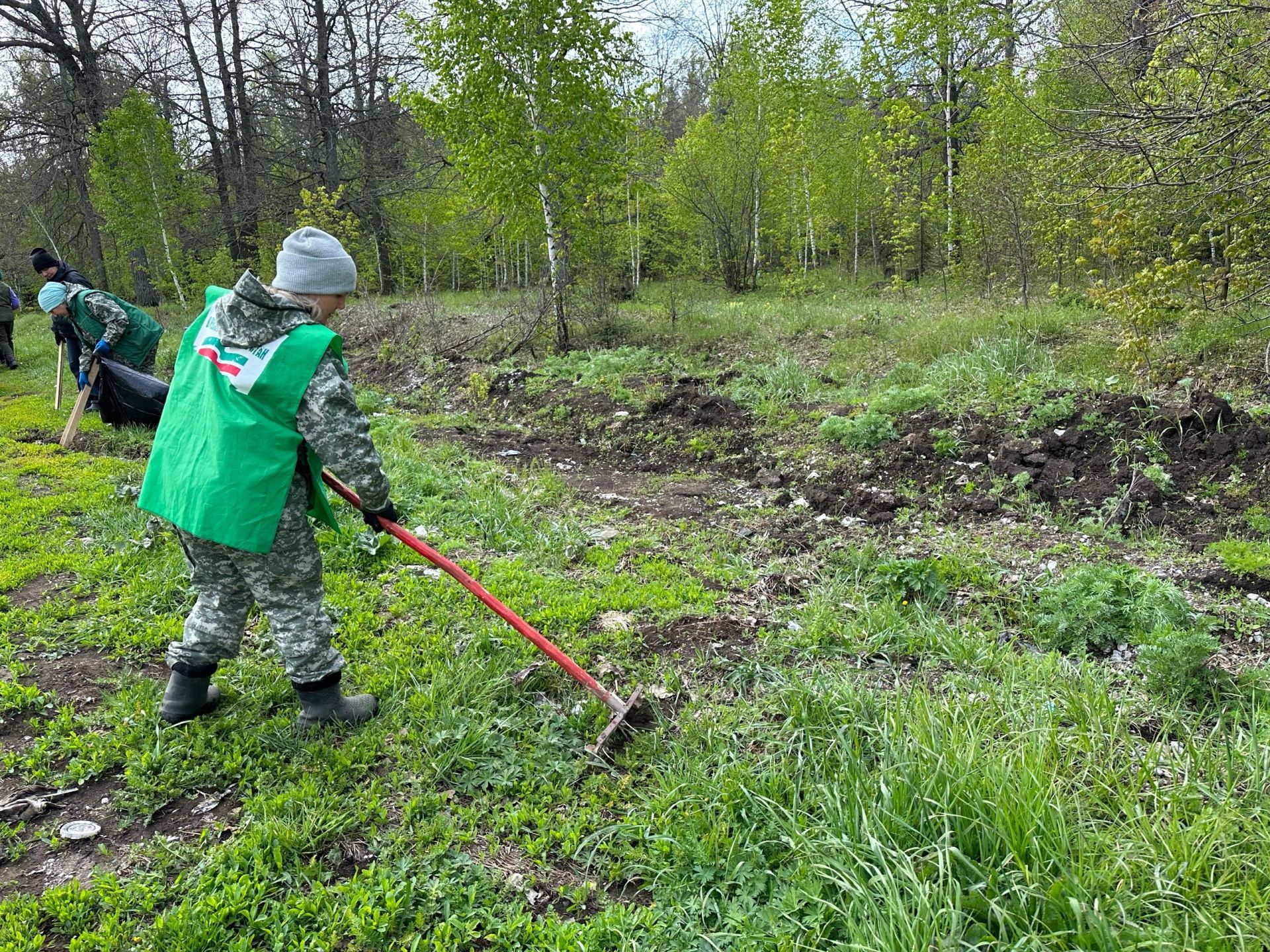 Массовая уборка лесного фонда прошла в Бугульминском районе