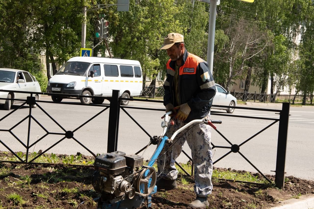 В Бугульме высадят 800 тысяч цветов