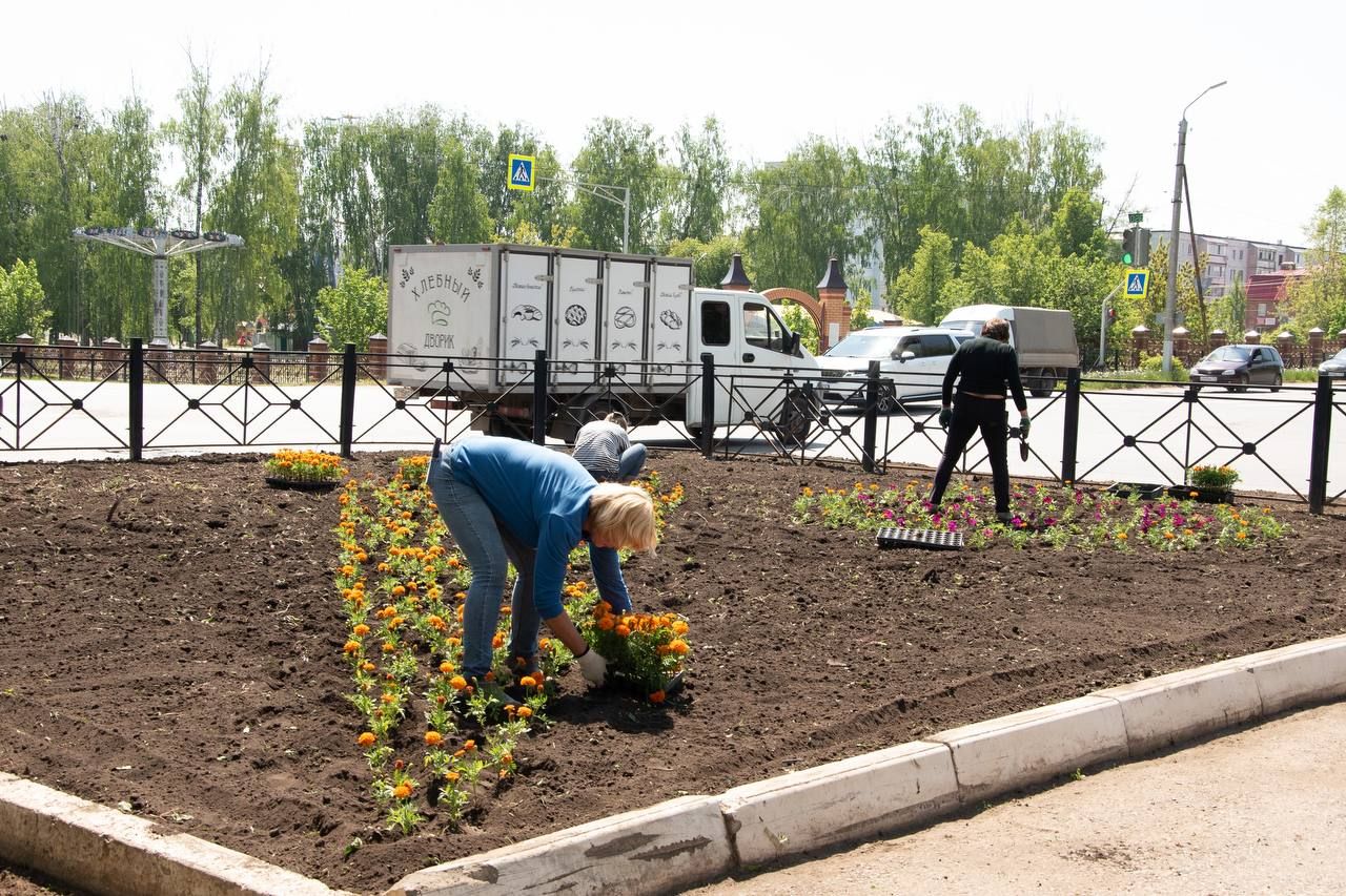 В Бугульме высадят 800 тысяч цветов