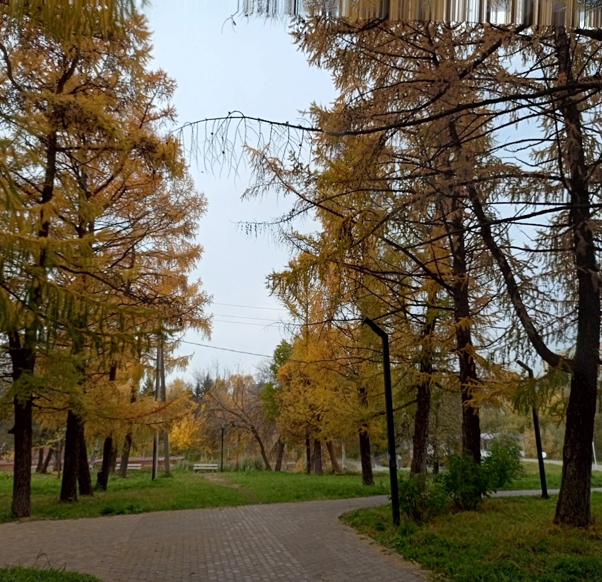 В Бугульме 13 октября переменная облачность