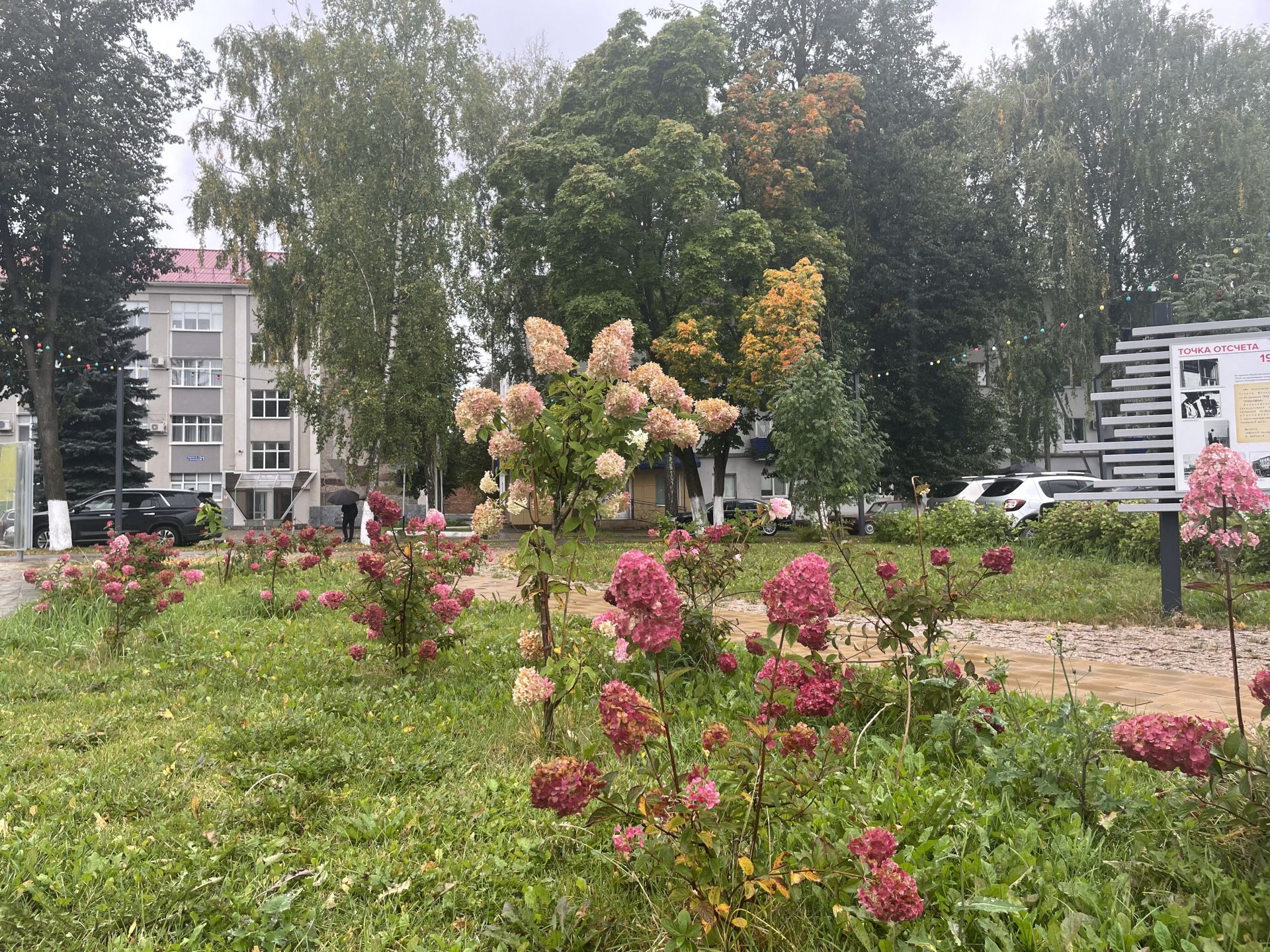 8 сентябрьдә Бөгелмәдә болытлы булачак