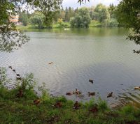 В Бугульме 11 августа облачно с прояснениями
