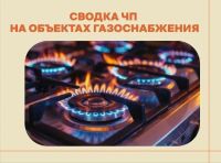 В Бугульме мужчина погиб от отравления в собственной квартире