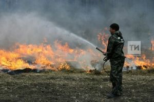 В Бугульминском районе с 17 апреля по 10 мая устанавливается особый противопожарный режим