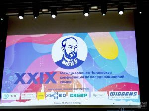 В Казани закрылась 29-я Международная Чугаевская конференция