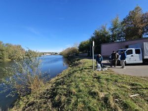 В центральный водоем Бугульмы выпустили 300 мальков белого амура
