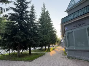 30 градусов жары прогнозируют синоптики в Бугульме 21 июля