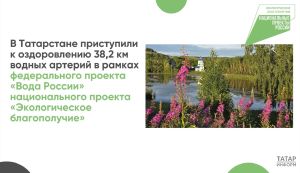 ‎В Татарстане благоустраивают 38,2 км водных артерий ‎