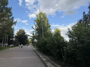 В Бугульме ожидается 12 градусов тепла