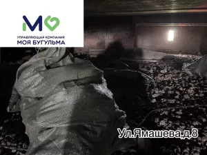 В Бугульме УК очищает чердак дома на улице Ямашева от последствий жизнедеятельности голубей